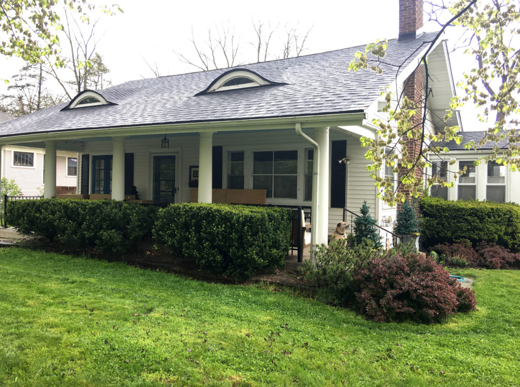blitzkrieg bungalow